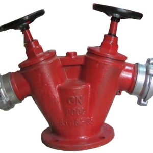 Trụ chữa cháy 2 cửa D65
