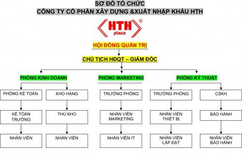 Sơ đồ tổ chức của HTH Company